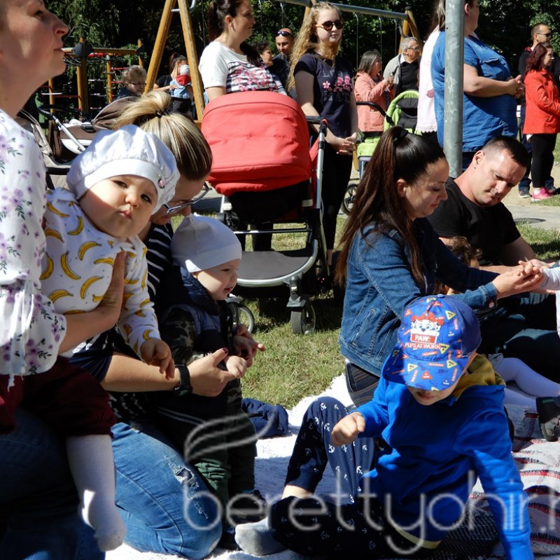 Életfa ültetés a város napján 23